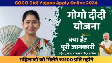 gogo didi Yojana Apply Online