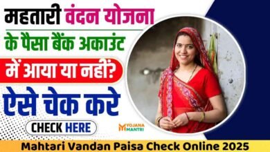 Mahtari Vandan Paisa Check Online