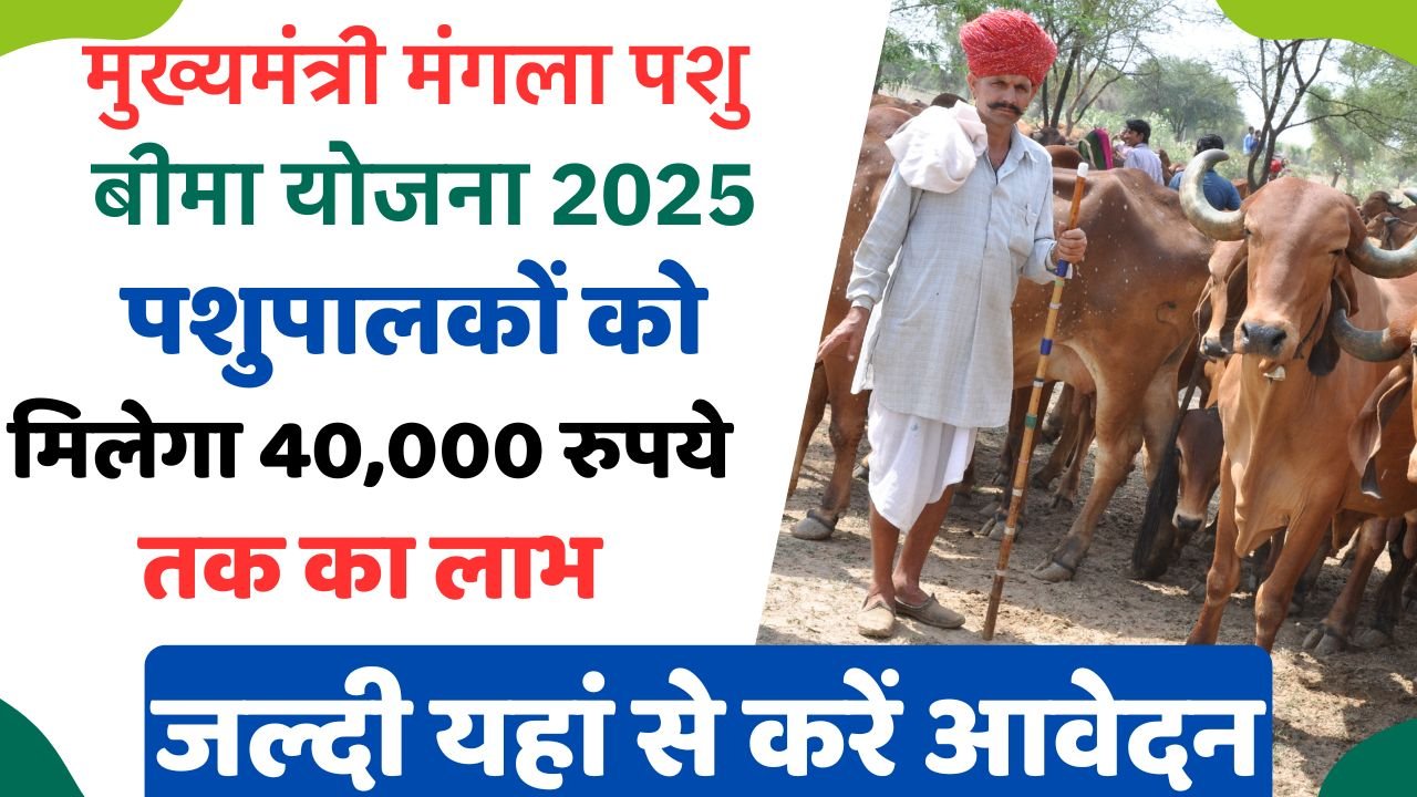 CM Mangla Pasu Bima Yojana 2025